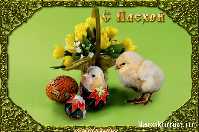 Дом Мечты Болталка: перезагрузка