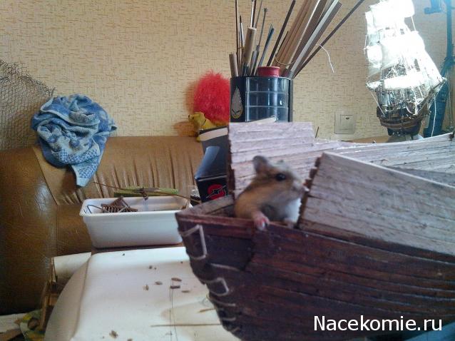 Собери Чёрную жемчужину. Пиратский трёп