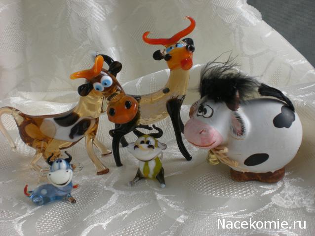 Наши Дни Рождения