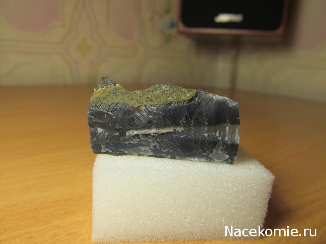 Минералы Сокровища Земли №29 - Халцедон