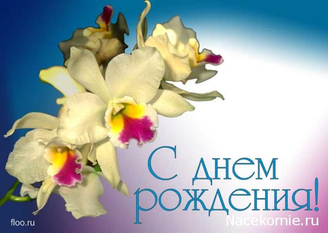 Дом Мечты наши дни рождения