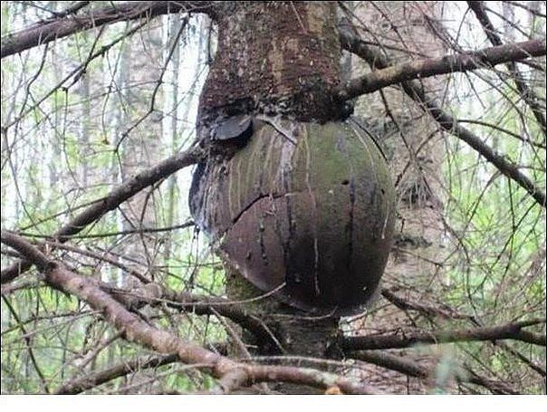 Наполеоновские Войны - Новая флудилка