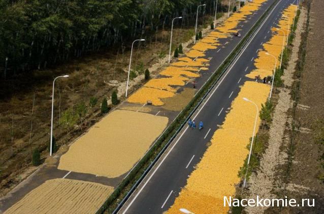 Наполеоновские Войны - Новая флудилка