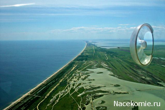 Наполеоновские Войны - Новая флудилка