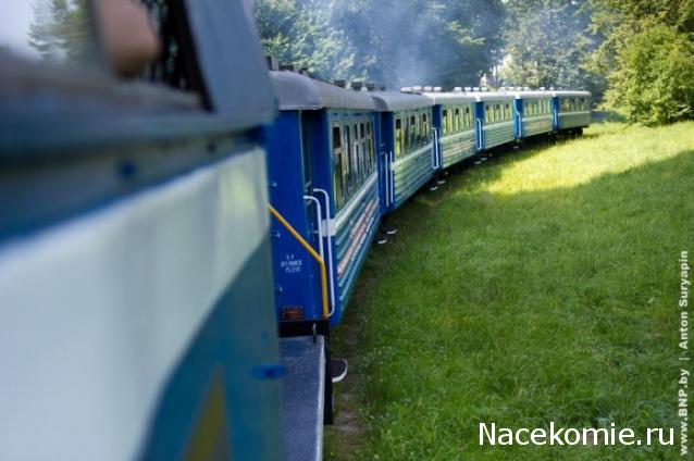 Наполеоновские Войны - Новая флудилка