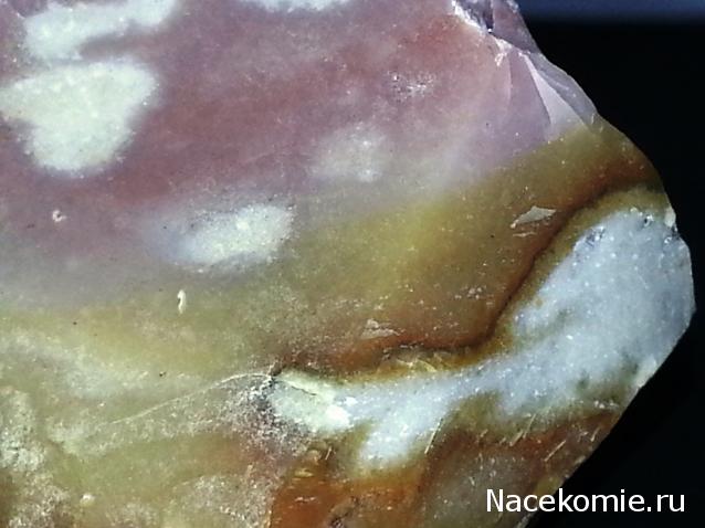 Минералы Сокровища Земли №29 - Халцедон