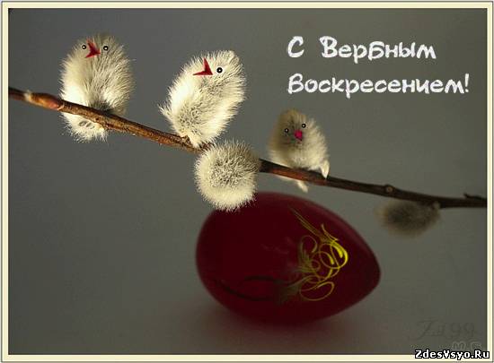 Дом Мечты Болталка: перезагрузка