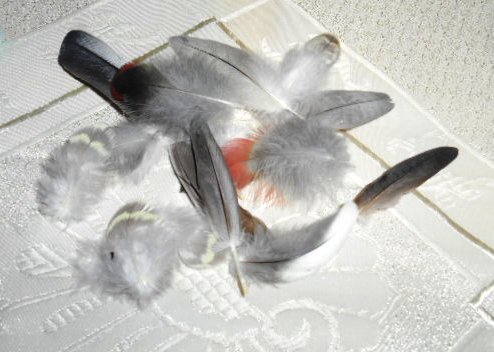 Ingrid - Маленький дом для большой семьи