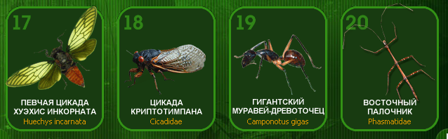 Насекомые и их знакомые 2014 - График Выхода и обсуждение