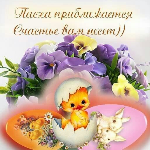 Businda. Кошкин дом.