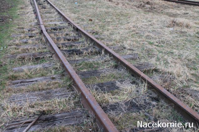 Наполеоновские Войны - Новая флудилка