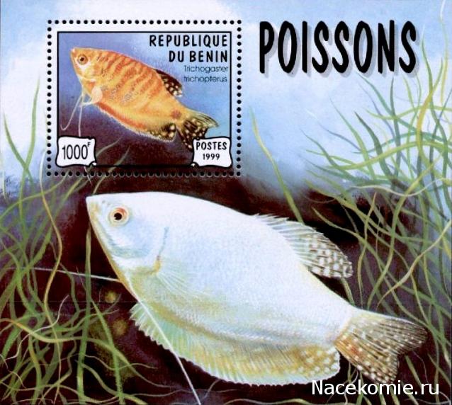 Почтовые Марки Мира №13