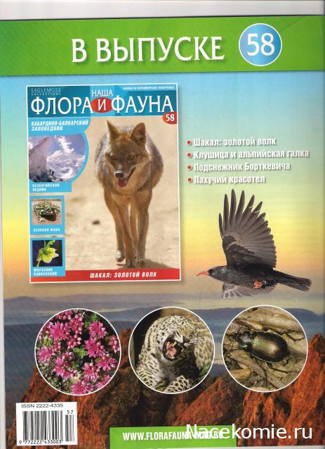 Наша Флора и Фауна - журнал (Eaglemoss)