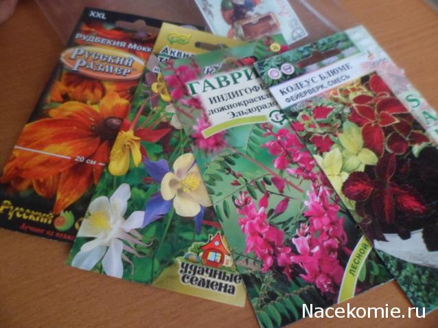 Anastasia24 Мой маленький мир...или ушла в детство))