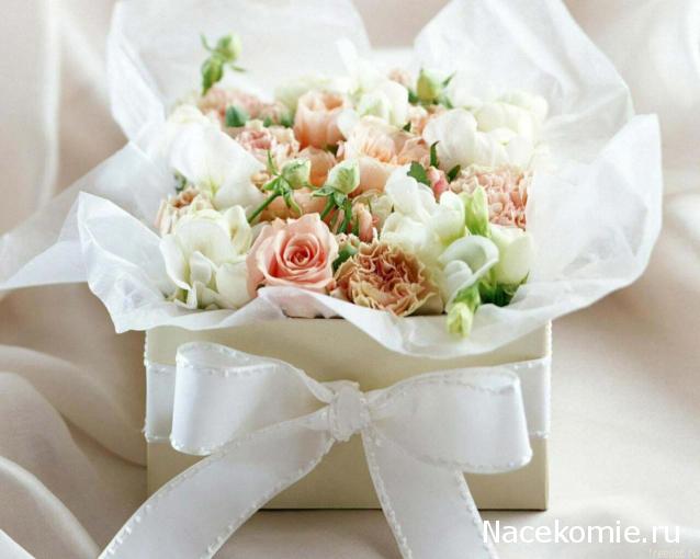 IceGalina - И я с вами!