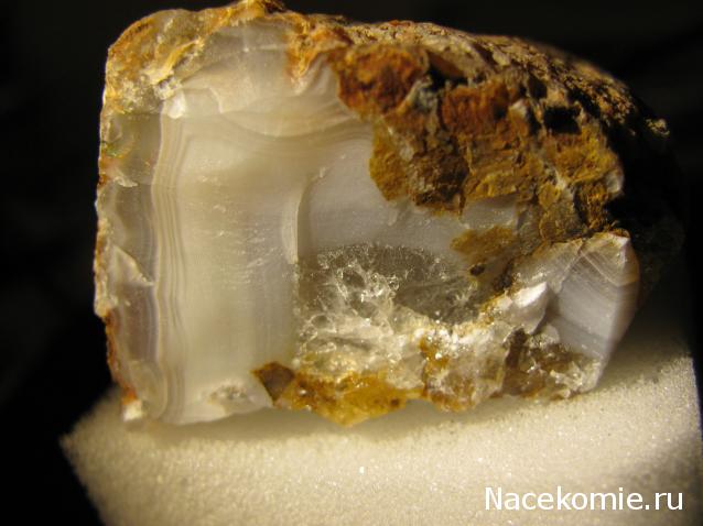 Минералы Сокровища Земли №29 - Халцедон