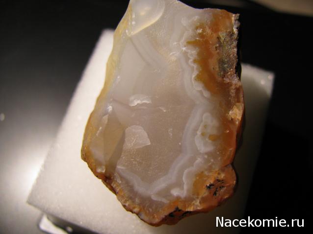 Минералы Сокровища Земли №29 - Халцедон