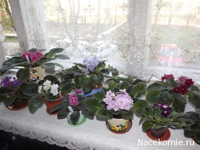 milena23 - Мечта моего детства.