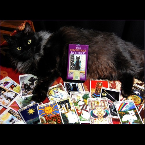 Многоликое Таро. Обсуждение колод