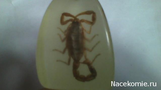 Насекомые в Акриле НЕ из Журнала