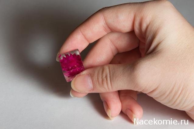 Самостоятельное коллекционирование насекомых