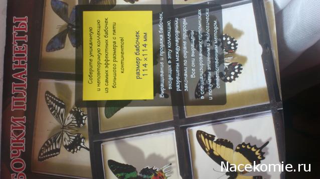 Собери свою коллекцию. Бабочки - ДеАгостини - тест
