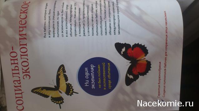 Собери свою коллекцию. Бабочки - ДеАгостини - тест