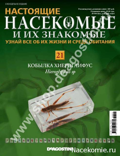 Насекомые и их знакомые 2014 - График Выхода и обсуждение
