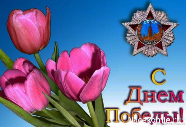 Дамы эпохи - Болталка №2 (соседняя палата)