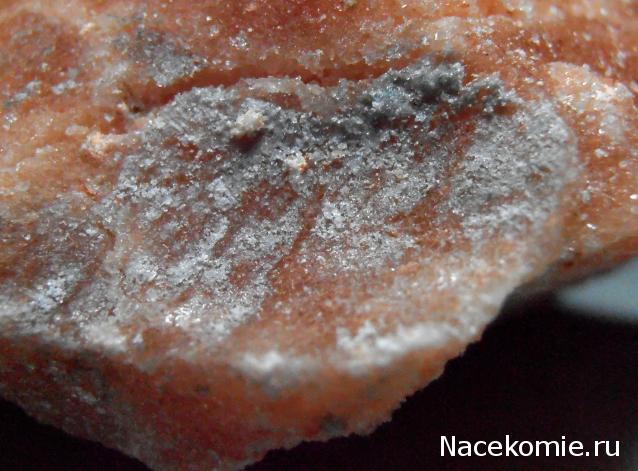 Минералы. Специальный выпуск №1 - Галит