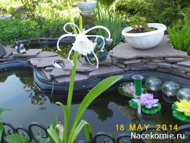 nataliMe - Викторианская эпоха. Взгляд из 21 века.