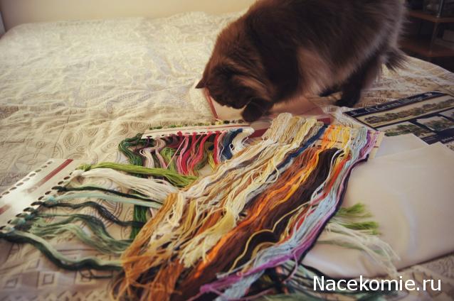 Наши процессы и долгострой