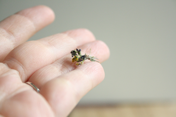 OksaNaV - Дача в Комарово