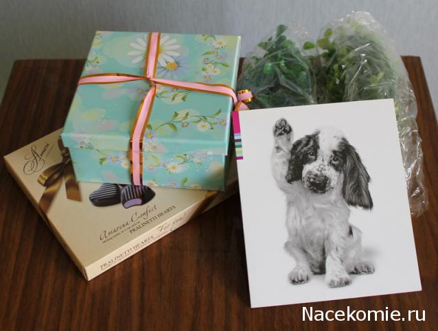 NataBasya - В мечтах о доме