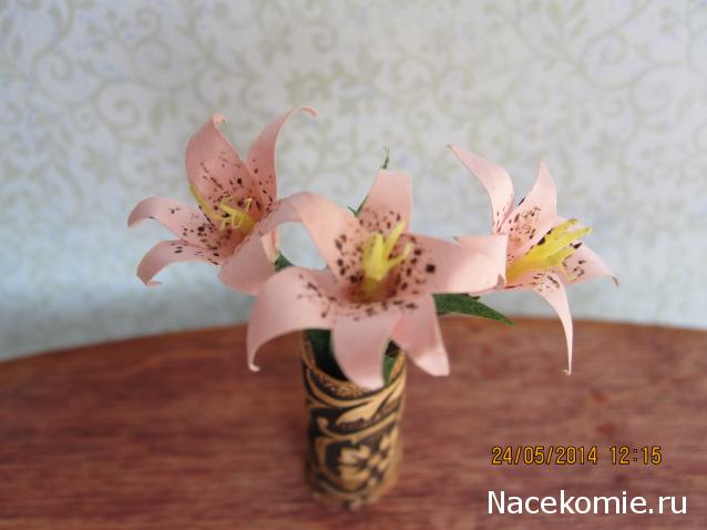 IriSelena. Вне стиля, или Непонятный домик