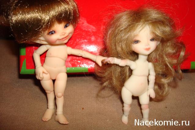 sphynx Канадские сфинксы в английском доме