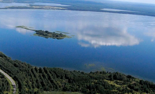 Наполеоновские Войны - Новая флудилка