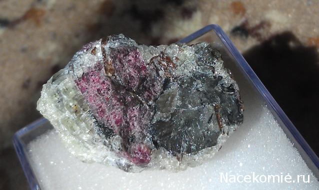 Компания кладоискателей. Болталка форума Минералов