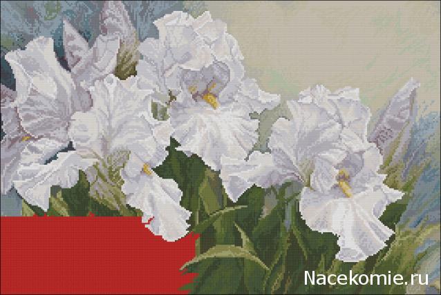 Наши процессы и долгострой
