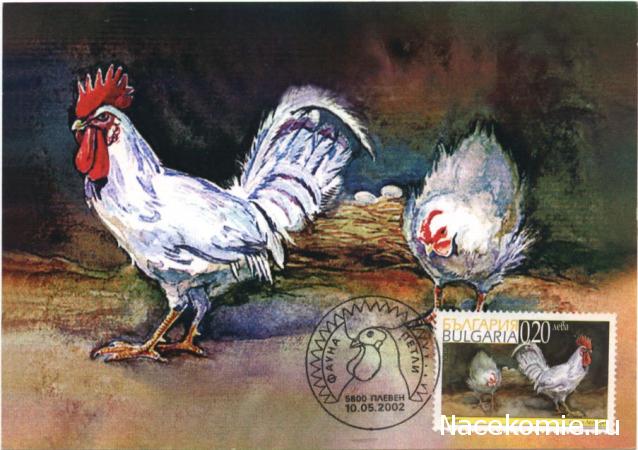 Почтовые Марки Мира №20