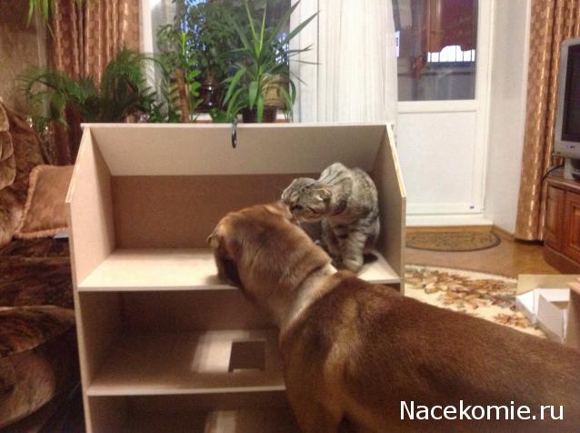 Rossalinda - увлечение перерастающее в жизнь....