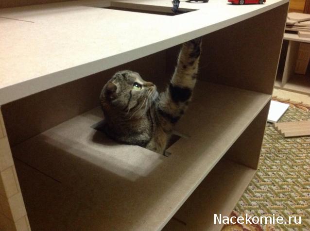 Rossalinda - увлечение перерастающее в жизнь....