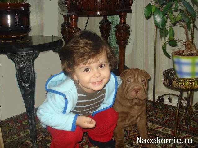 Rossalinda - увлечение перерастающее в жизнь....