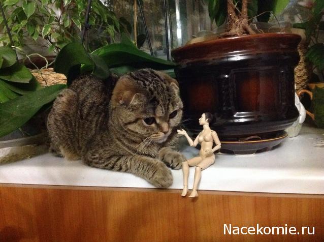 Rossalinda - увлечение перерастающее в жизнь....