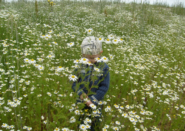 alelya - обо всем понемногу, или...