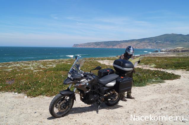 Наполеоновские Войны - Новая флудилка