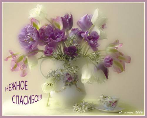 leonidovna - Ниша мечты