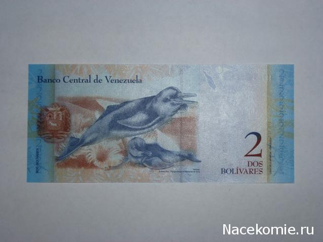 Коллекции пользователей. Нумизматика и бонистика