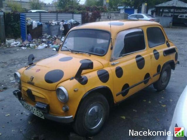 Болталка АЛ и АНС