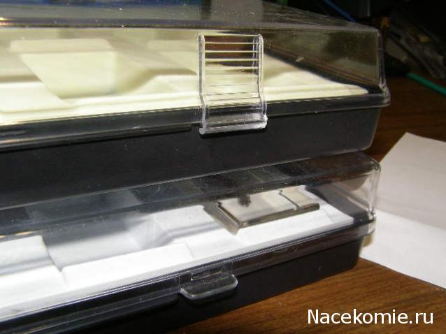 Насекомые №17 - Певчая цикада Хуэхис Инкорната (Huechys incarnata)